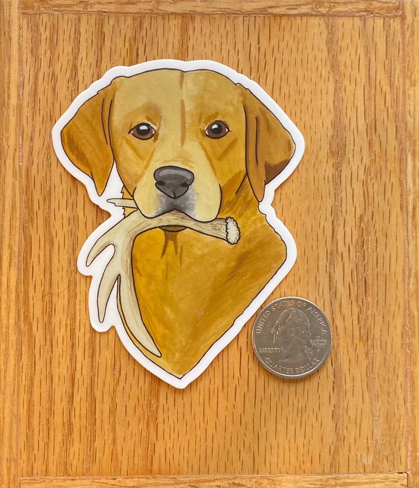 Red Yellow Labrador Retriever Antler Shed Hunting 3" Die Cut Vinyl Sticker Decal: Durable Matte-Finish