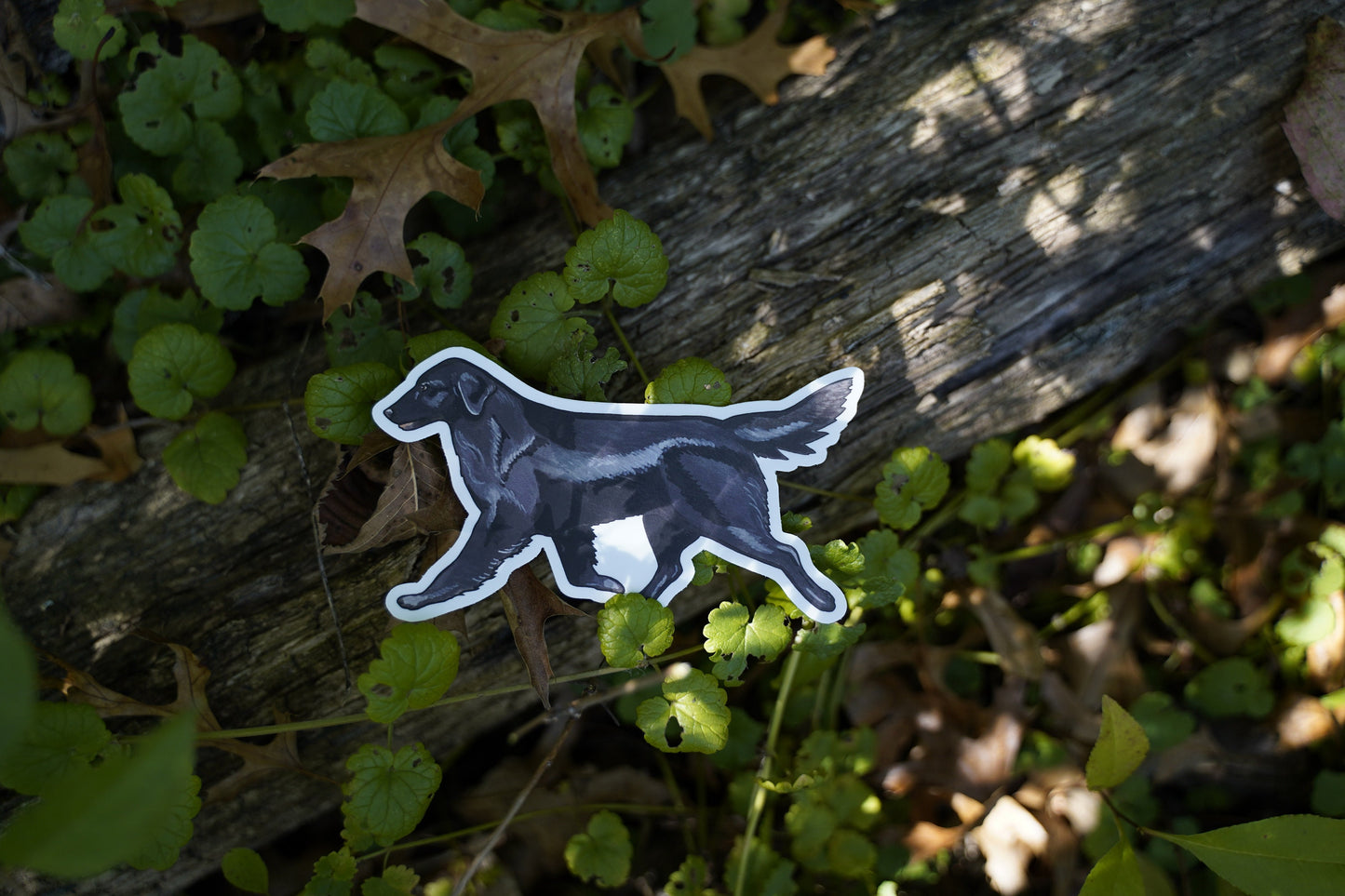 Black Flat-Coated Retriever Flattie Trotting Gaiting 5" Die Cut Vinyl Sticker Decal: Durable Matte-Finish Active