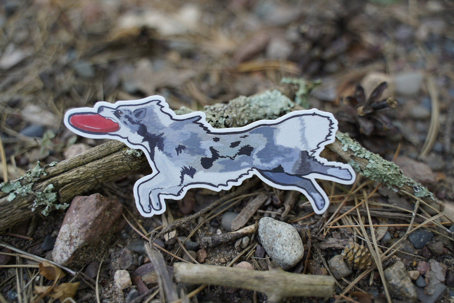 Border Collie Dog Sport Frisbee Disc 4" Die Cut Vinyl Sticker Decal: Durable Matte-Finish Active