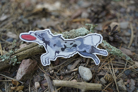 Border Collie Dog Sport Frisbee Disc 4" Die Cut Vinyl Sticker Decal: Durable Matte-Finish Active