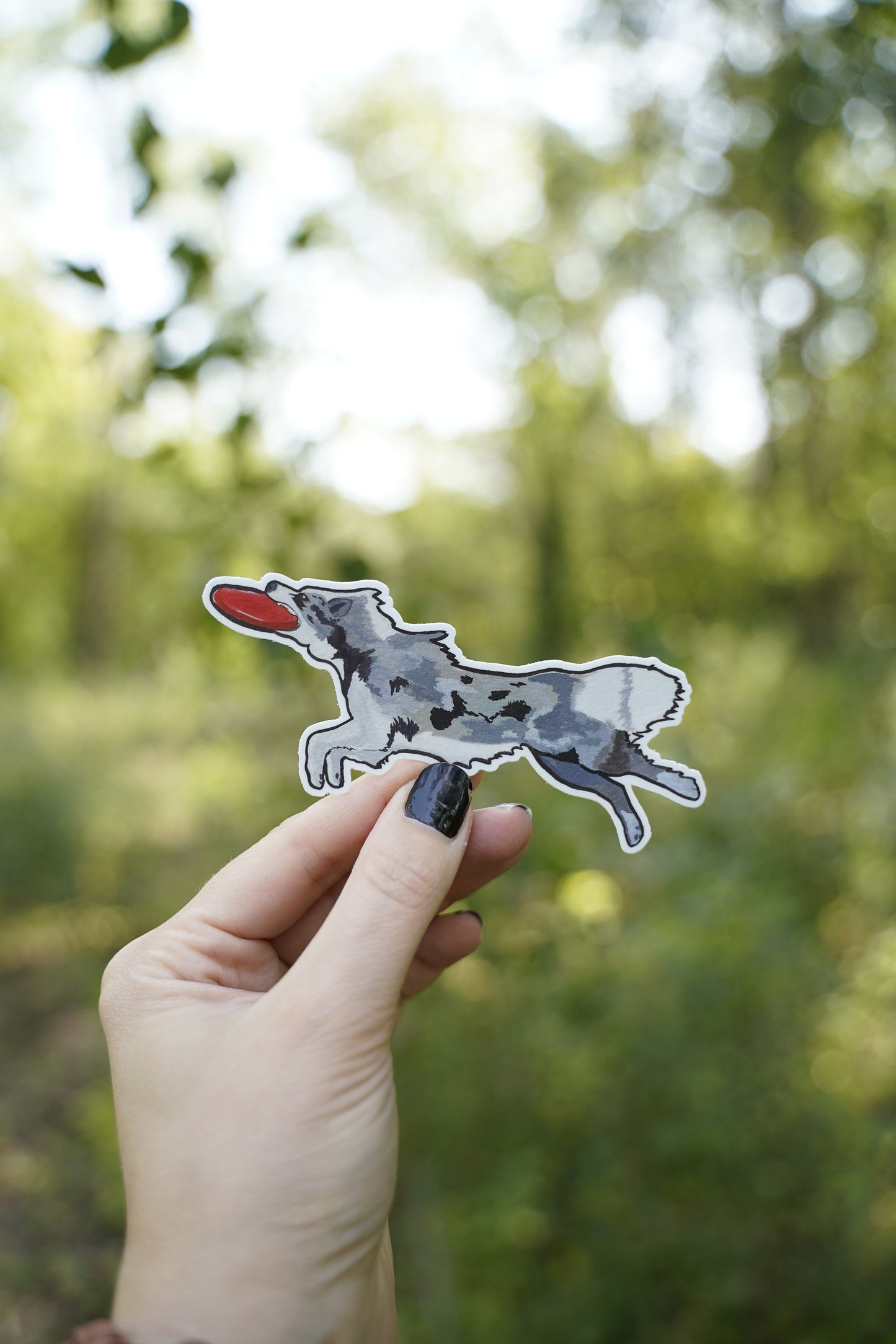 Border Collie Dog Sport Frisbee Disc 4" Die Cut Vinyl Sticker Decal: Durable Matte-Finish Active