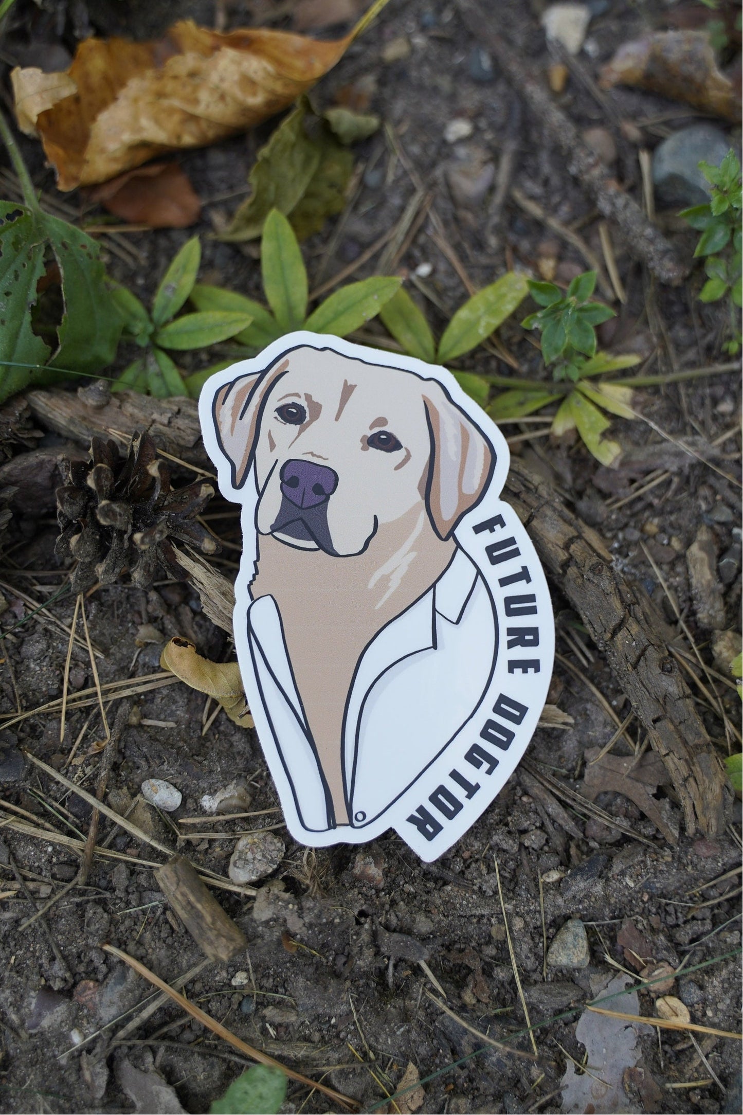 Future Dogtor Vet Veterinarian Labrador Retriever 4" Die Cut Vinyl Sticker Decal: Durable Matte-Finish Active