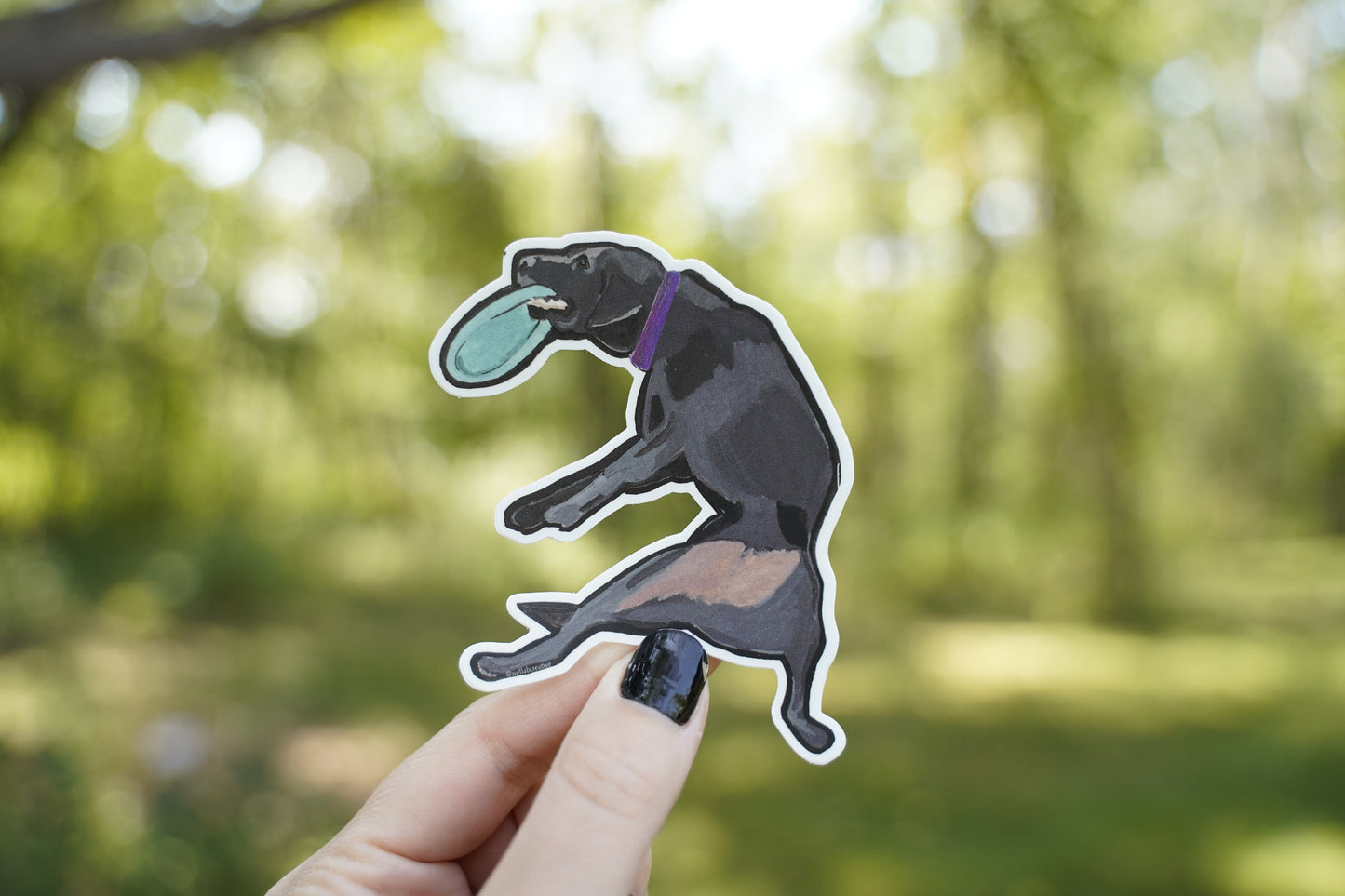 Labrador Retriever Disc Frisbee Fetch 3" Die Cut Vinyl Sticker Decal: Durable Matte-Finish