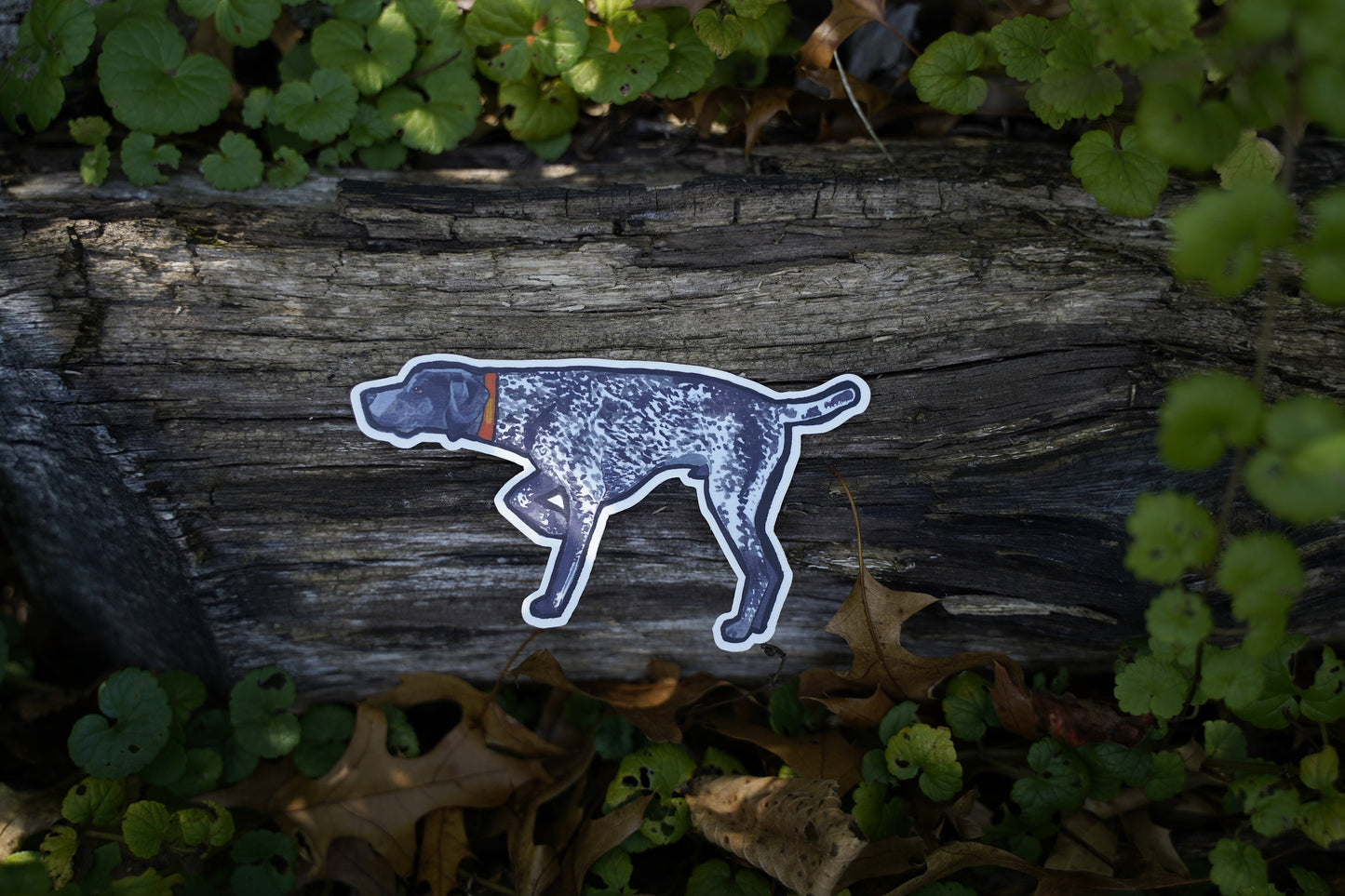 Black Roan German Shorthaired Pointer Dog Pointing Male or Female 5" Die Cut Vinyl Sticker Decal: Durable Matte-Finish