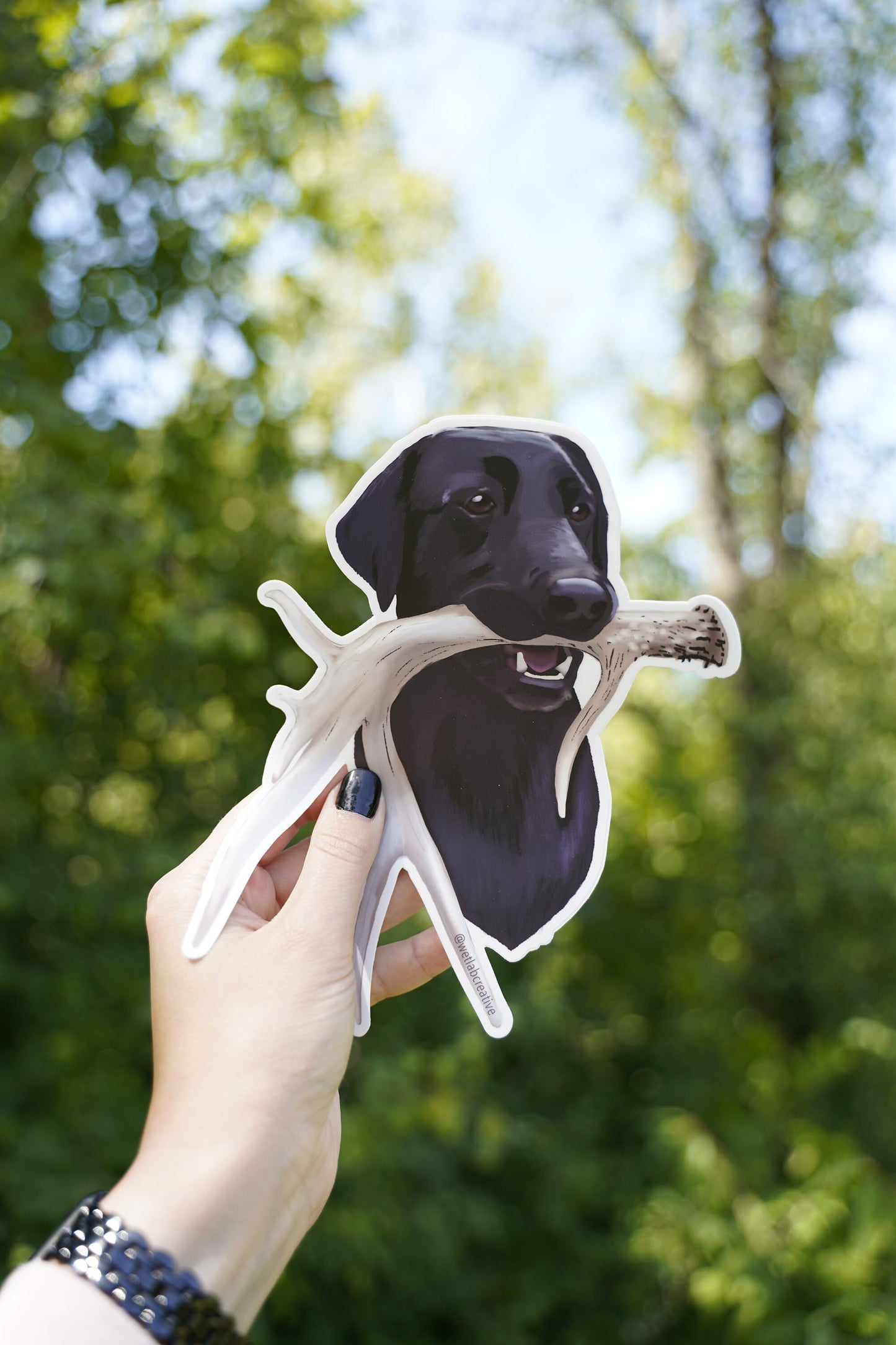 Black Labrador Antler Shed Hunting Lab Retrieving 8" Extra Large Die Cut Vinyl Decal Bumper Sticker: Durable Matte-Finish Active Active