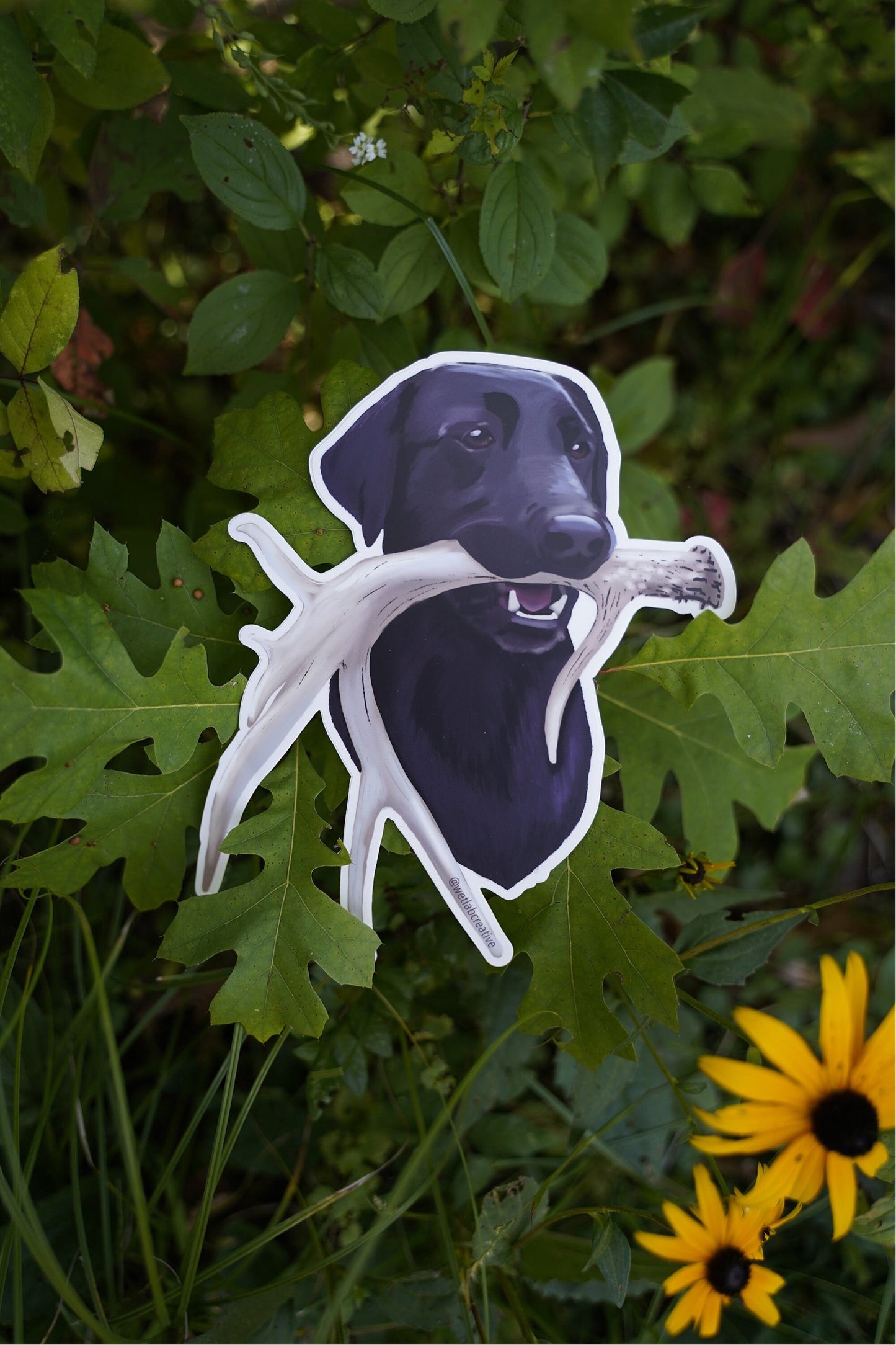 Black Labrador Antler Shed Hunting Lab Retrieving 8" Extra Large Die Cut Vinyl Decal Bumper Sticker: Durable Matte-Finish Active Active