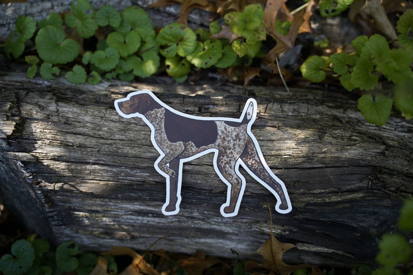 Liver Roan German Shorthaired Pointer Dog Pointing 5" Die Cut Vinyl Sticker Decal: Durable Matte-Finish Active
