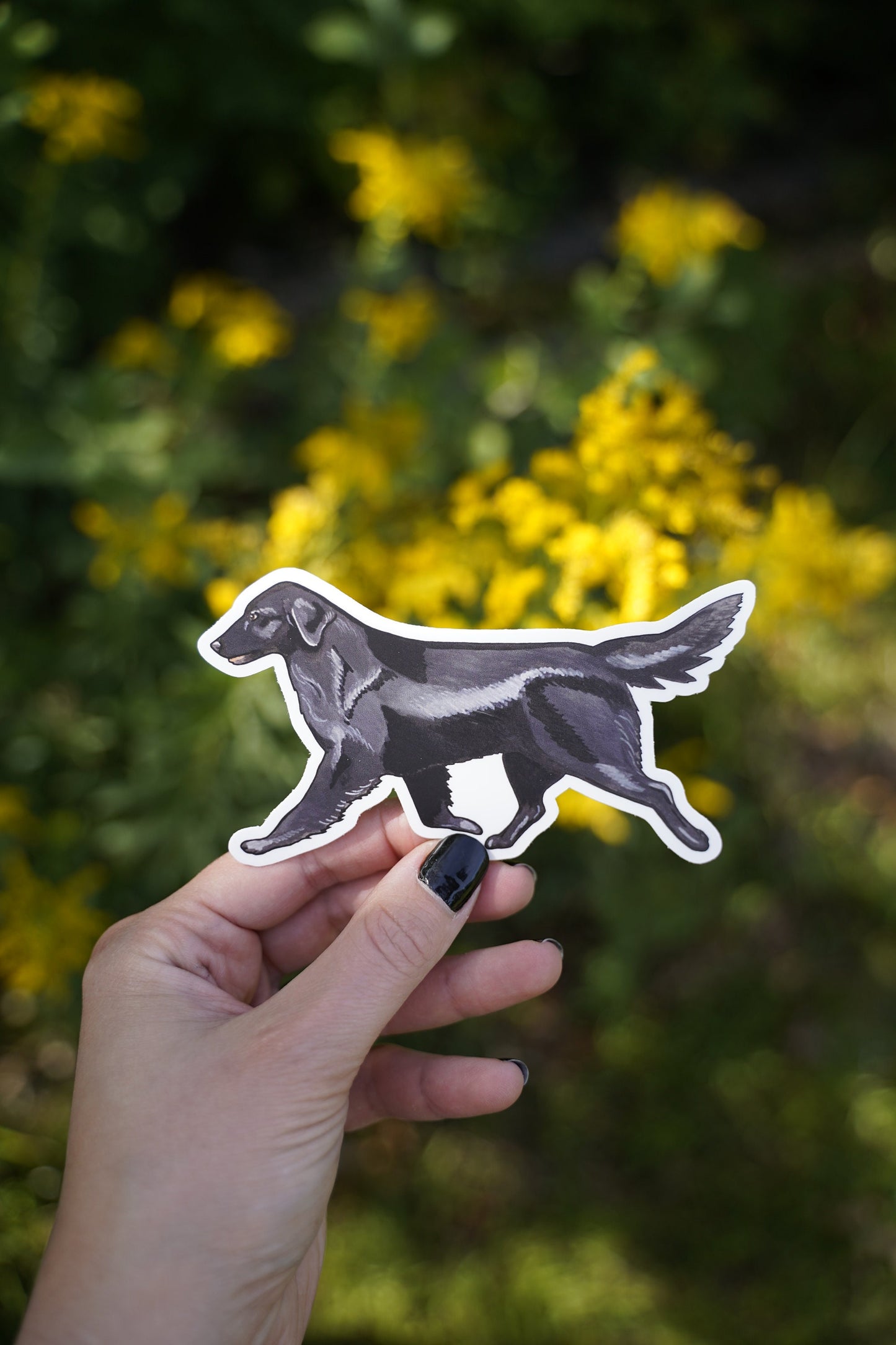 Black Flat-Coated Retriever Flattie Trotting Gaiting 5" Die Cut Vinyl Sticker Decal: Durable Matte-Finish Active