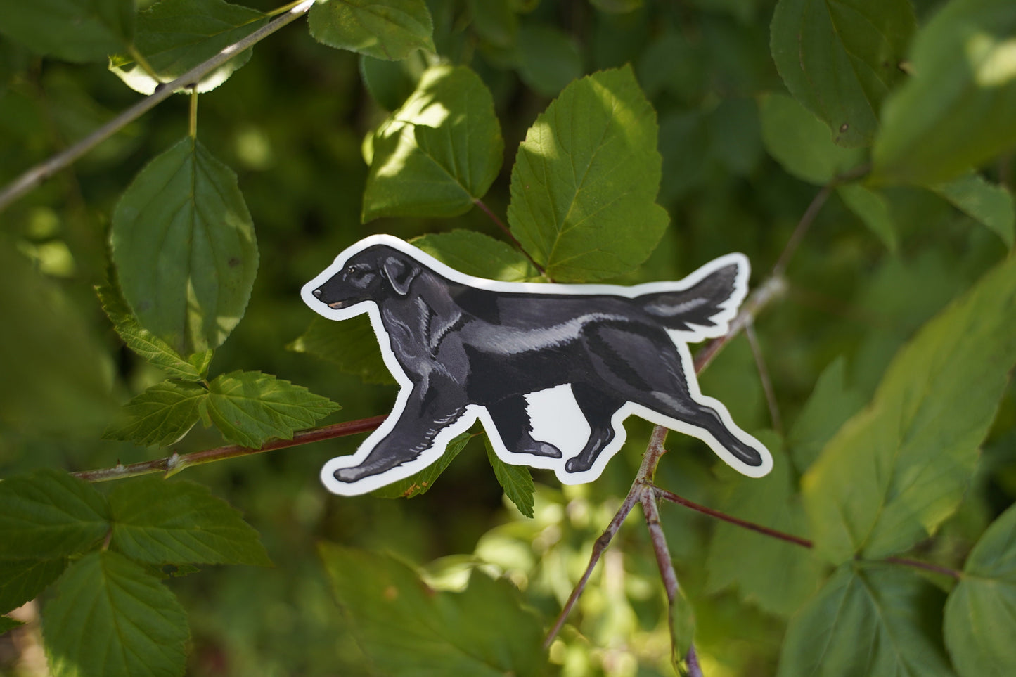 Black Flat-Coated Retriever Flattie Trotting Gaiting 5" Die Cut Vinyl Sticker Decal: Durable Matte-Finish Active