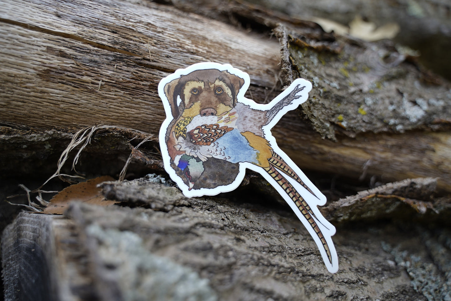 German Wirehaired Pointer Dog with Pheasant 5" Die Cut Vinyl Sticker Decal: Durable Matte-Finish Active Active