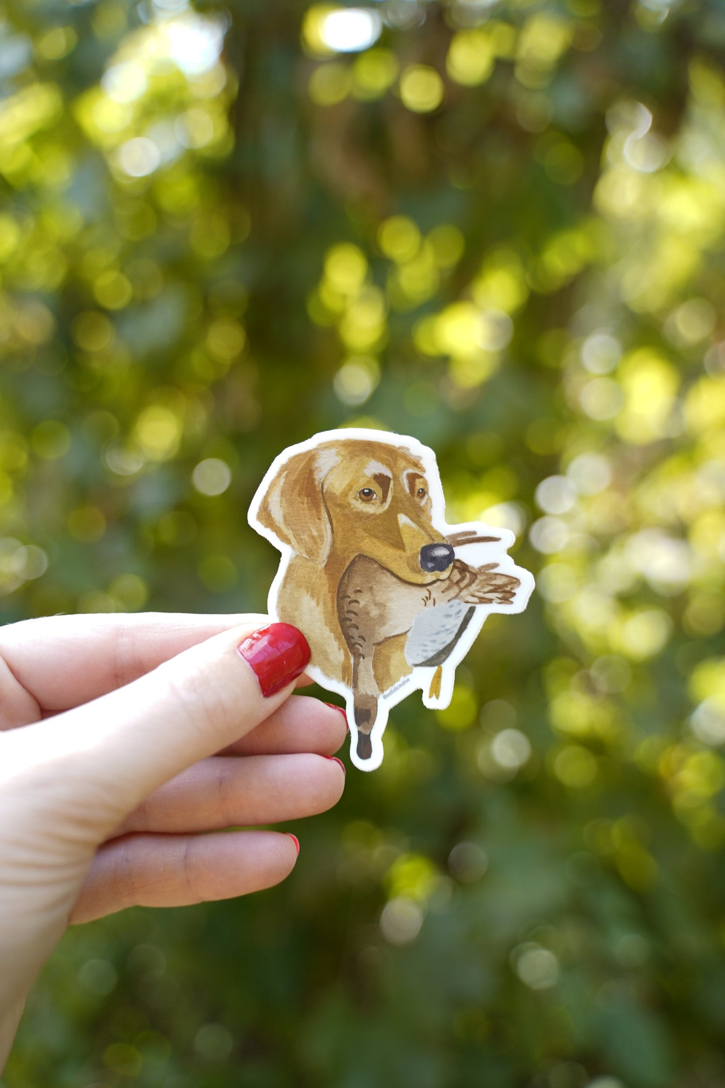 Golden Retriever Dog with Blue Winged Teal 3" Die Cut Vinyl Sticker Decal: Durable Matte-Finis