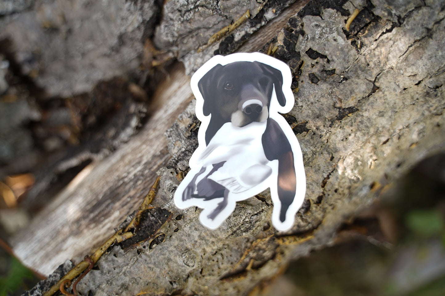 One-Eyed Black Labrador Retriever Duck Hunting Retrieving 3" Die Cut Vinyl Sticker Decal: Durable Matte-Finish