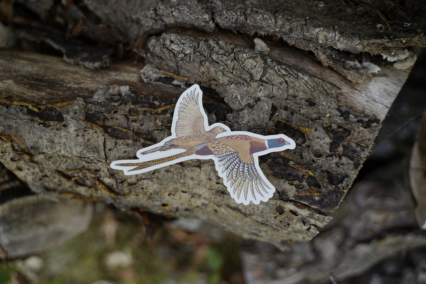 Ring Neck Pheasant Rooster and Hen 5" Die Cut Vinyl Sticker Decal: Durable Matte-Finish