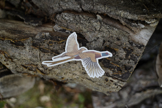 Ring Neck Pheasant Rooster and Hen 5" Die Cut Vinyl Sticker Decal: Durable Matte-Finish