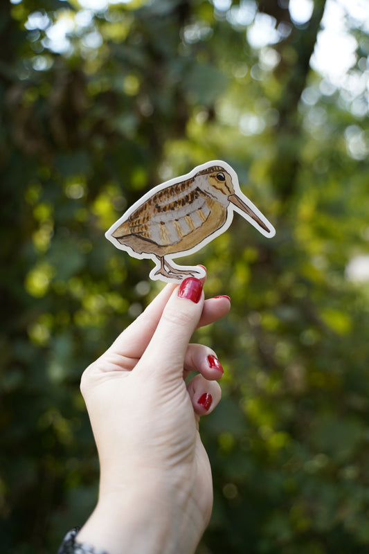 Woodcock 4” Die Cut Vinyl Sticker Decal: Durable Matte-Finish