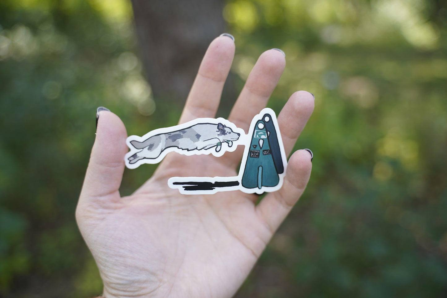 Border Collie Dog Sport Flyball Die Cut Vinyl Sticker Decal: Durable Matte-Finish (4" x 1.92")