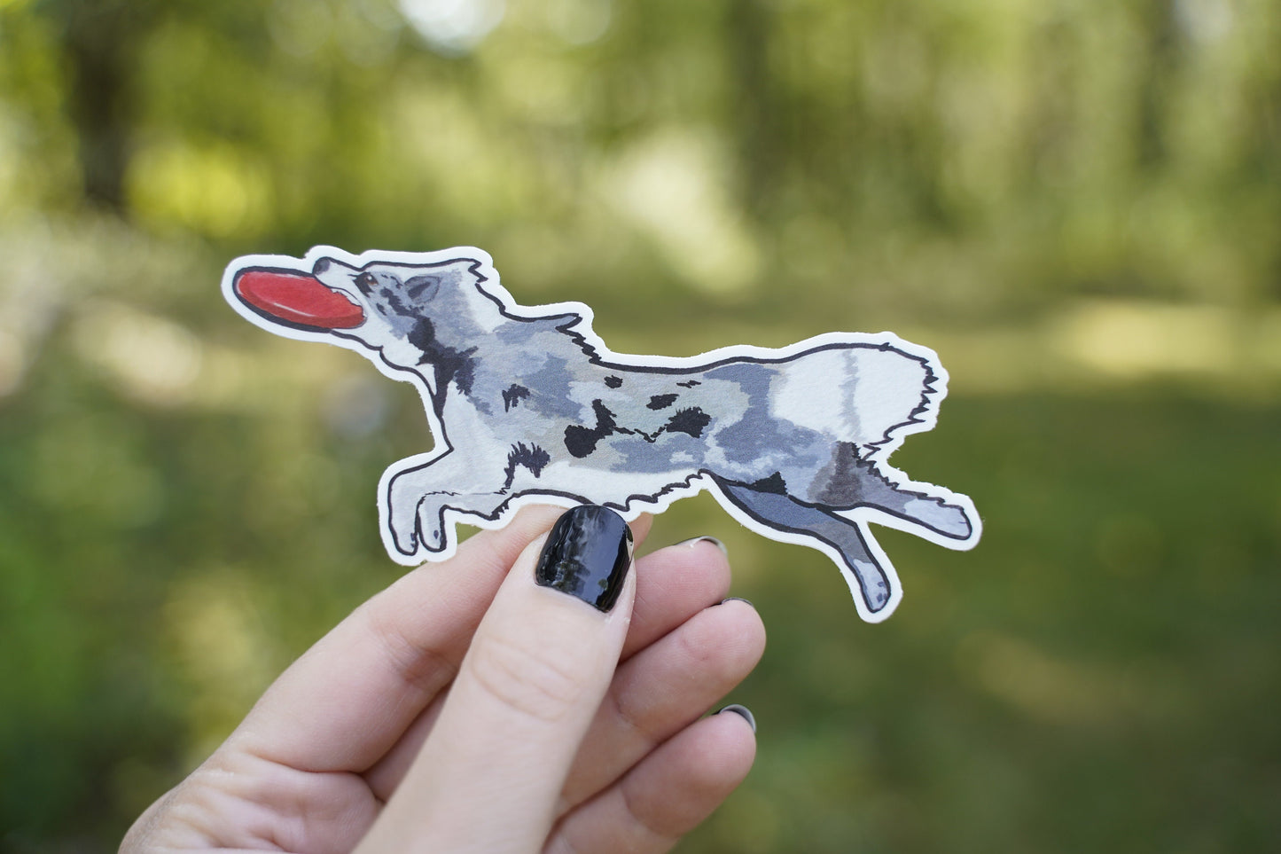 Border Collie Dog Sport Frisbee Disc 4" Die Cut Vinyl Sticker Decal: Durable Matte-Finish Active