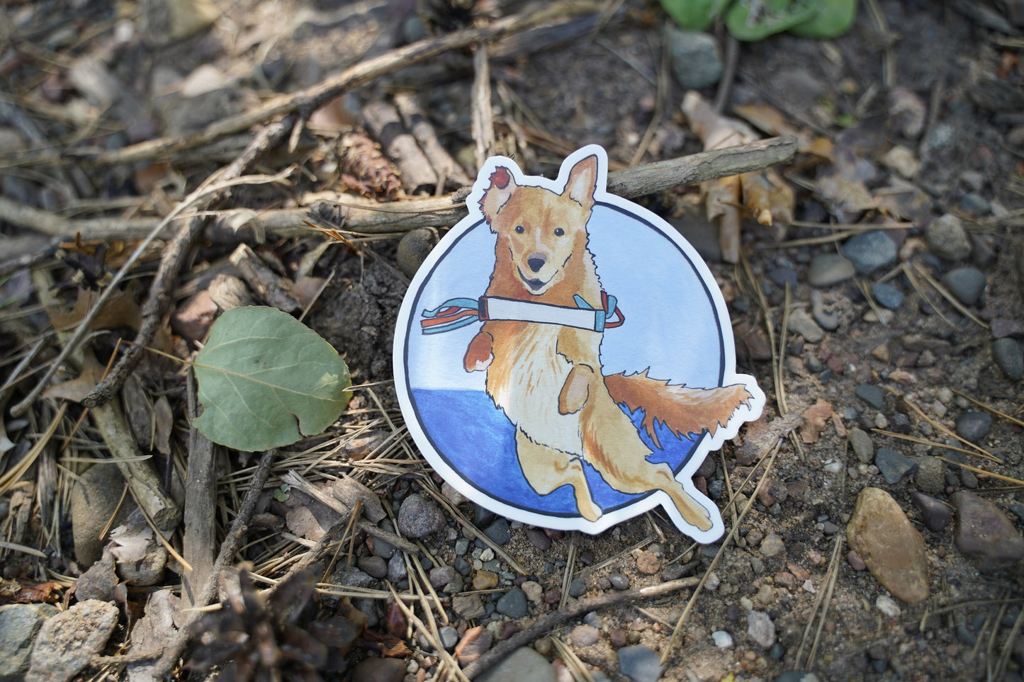 Golden Retriever Dock Diving Retrieving Circle 4" Die Cut Vinyl Sticker Decal: Durable Matte-Finish
