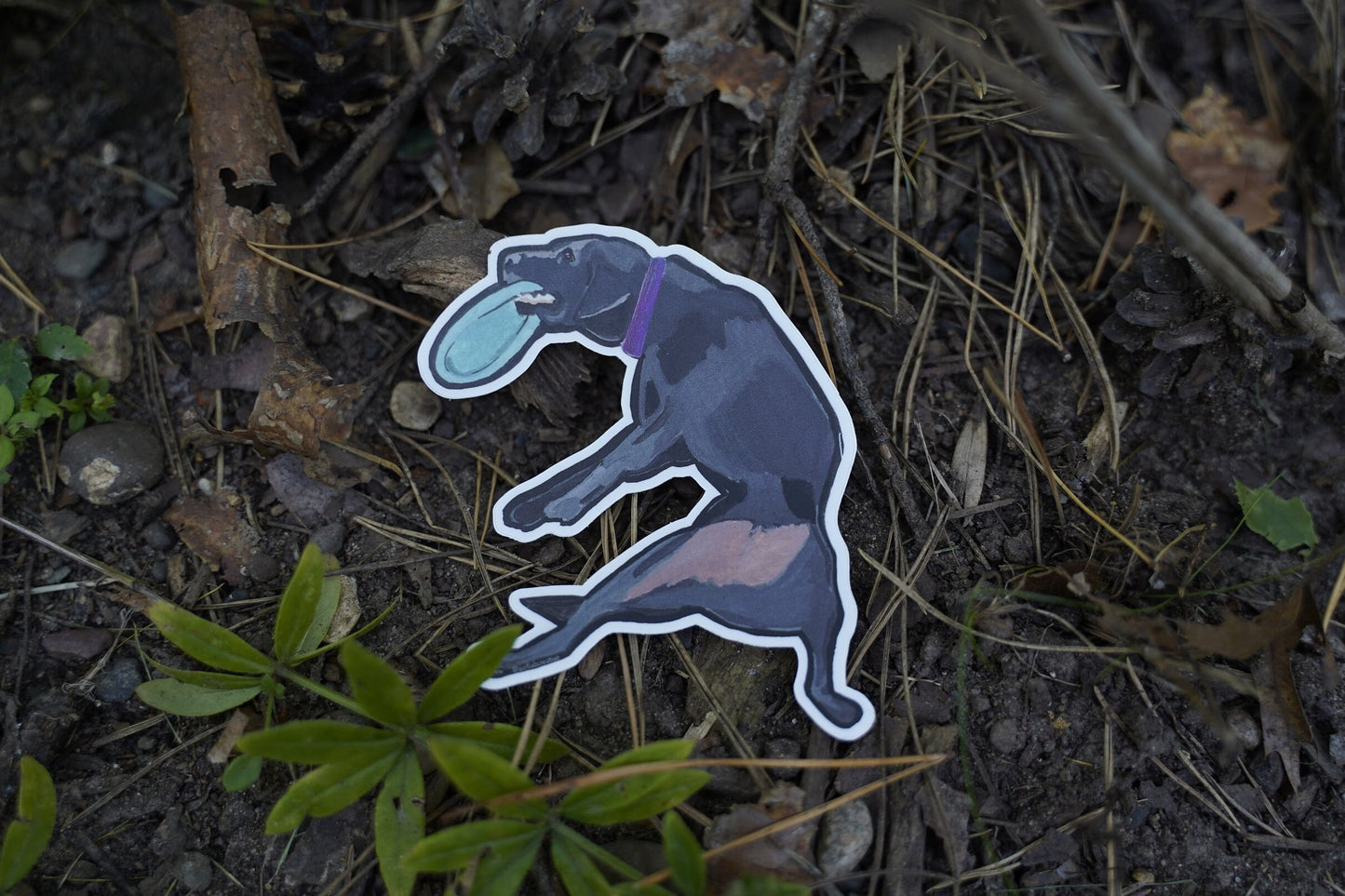 Labrador Retriever Disc Frisbee Fetch 3" Die Cut Vinyl Sticker Decal: Durable Matte-Finish