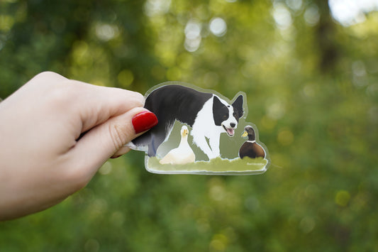 Border Collie Herding Ducks 4" Die Cut Vinyl Sticker Decal: Durable Matte-Finish