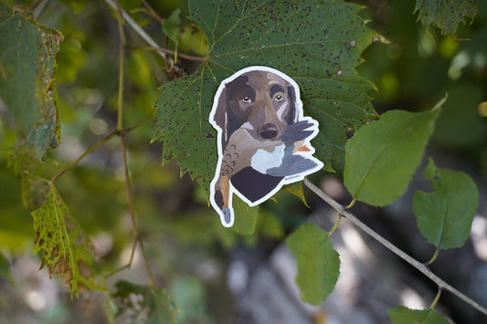 Chocolate Labrador Retrieving Blue Winged Teal Duck 3" Die Cut Vinyl Sticker Decal: Durable Matte-Finish