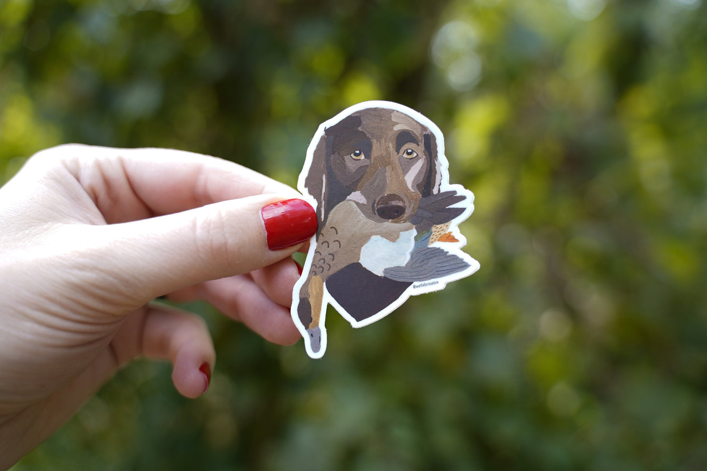 Chocolate Labrador Retrieving Blue Winged Teal Duck 3" Die Cut Vinyl Sticker Decal: Durable Matte-Finish