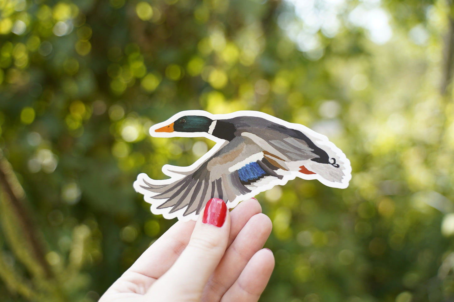 Mallard Drake Duck 5" Die Cut Vinyl Sticker Decal: Durable Matte-Finish