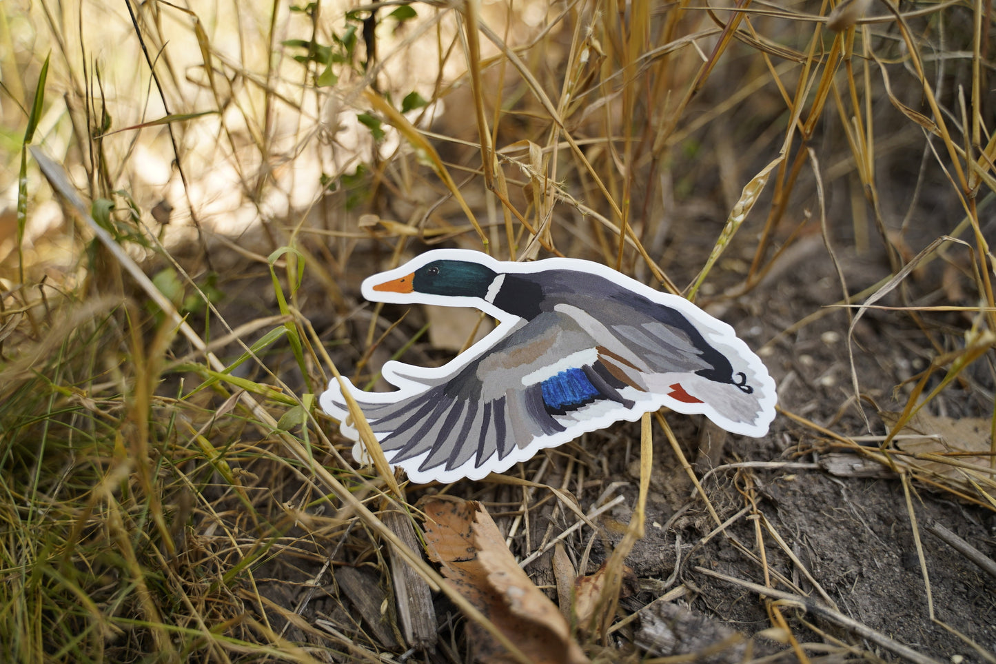 Mallard Drake Duck 5" Die Cut Vinyl Sticker Decal: Durable Matte-Finish