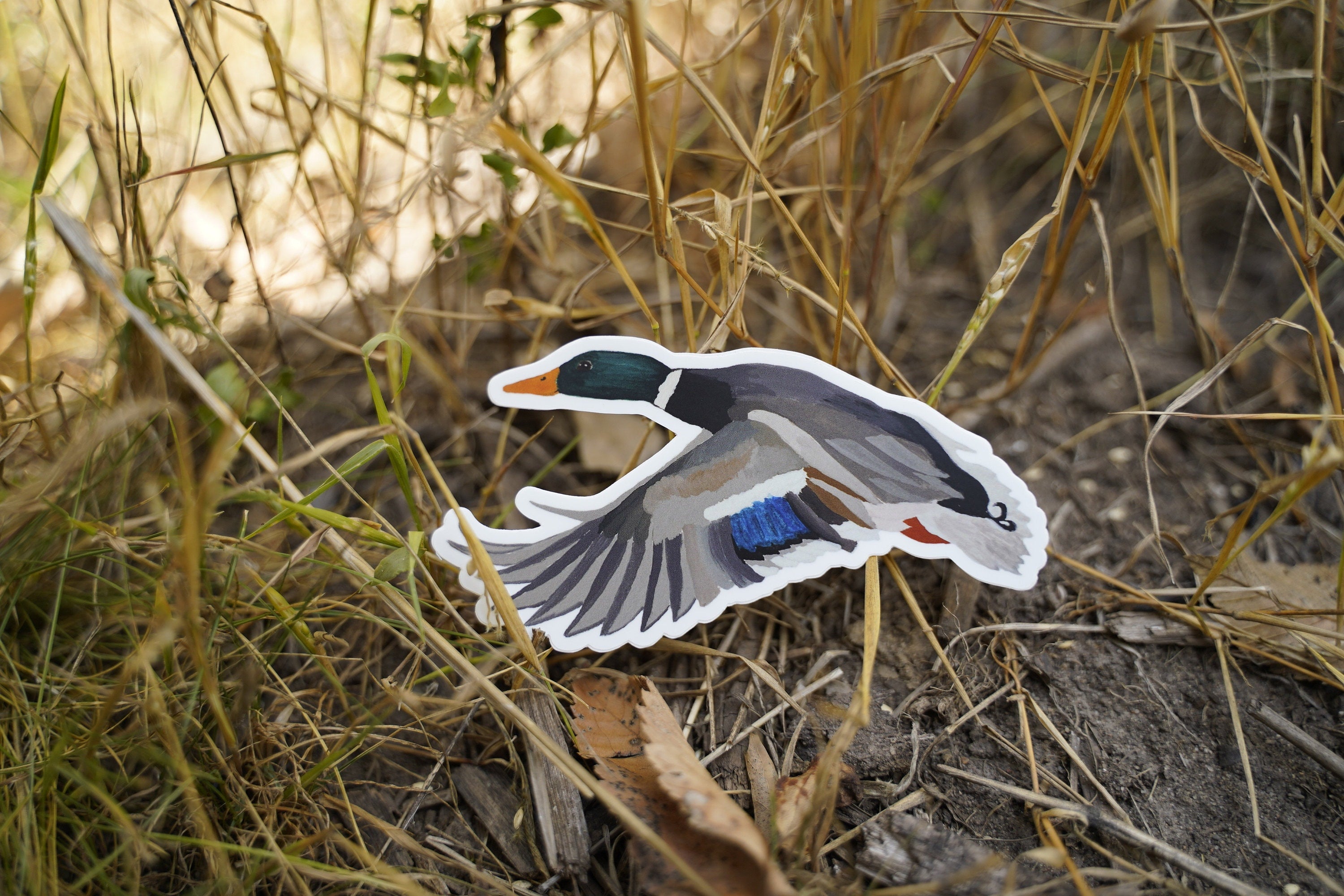 Mallard Drake Duck 5" Die Cut Vinyl Sticker Decal: Durable Matte-Finish