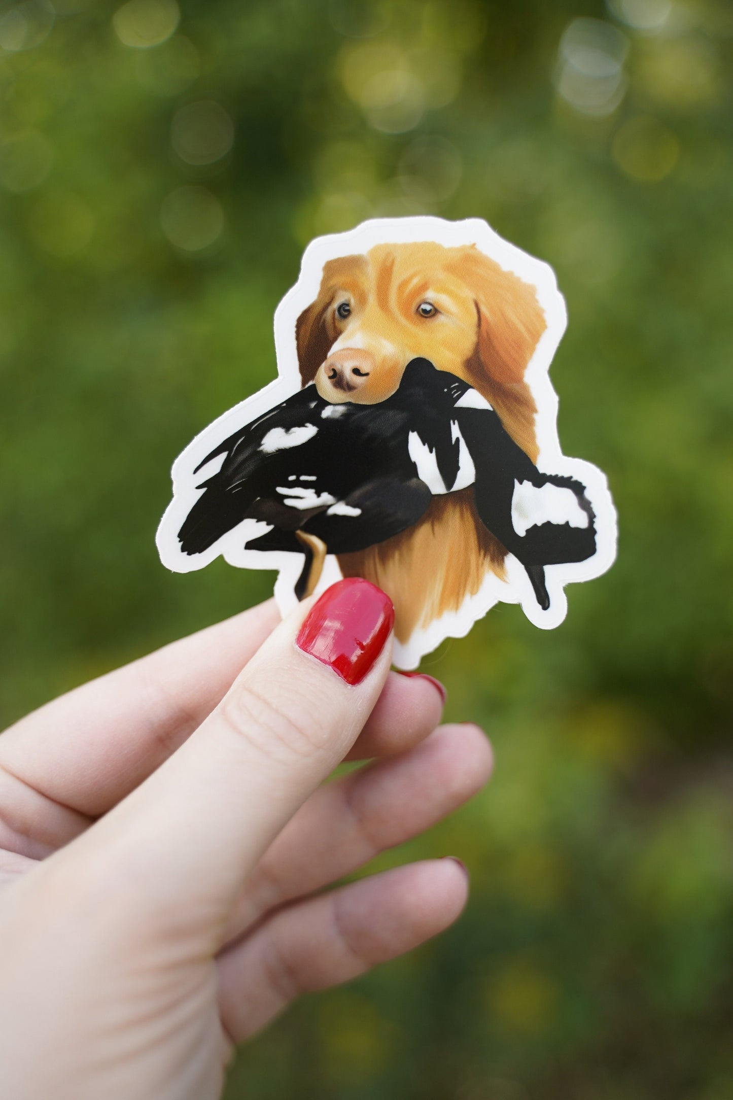Nova Scotia Duck Tolling Retriever NSDTR Toller Duck Hunting Retrieving 3" Die Cut Vinyl Sticker Decal: Durable Matte-Finish