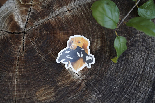 Nova Scotia Duck Tolling Retriever NSDTR Toller Duck Hunting Retrieving 3" Die Cut Vinyl Sticker Decal: Durable Matte-Finish