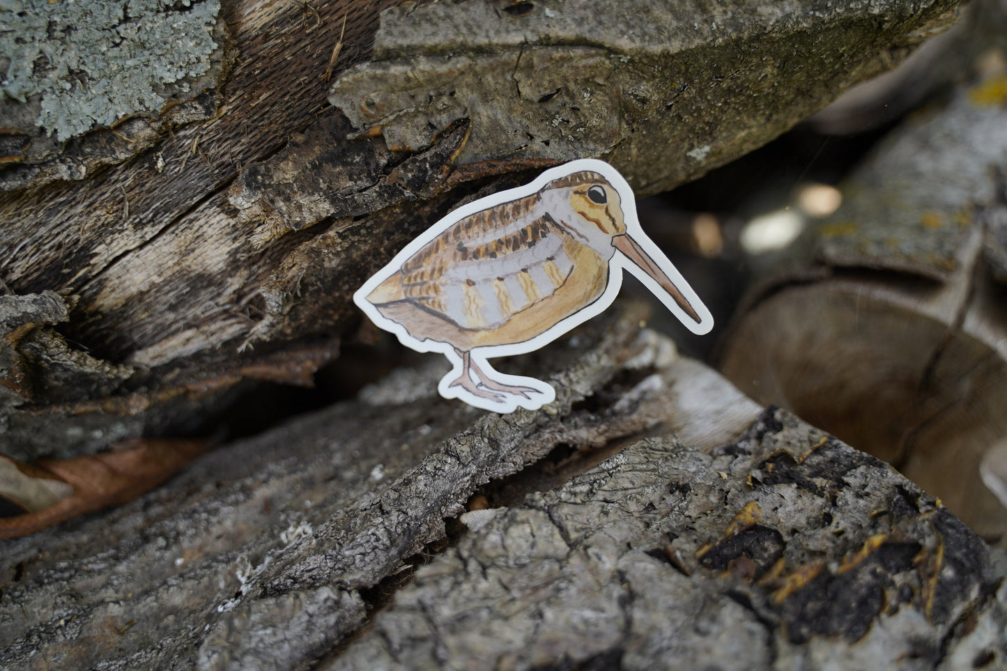 Woodcock 4” Die Cut Vinyl Sticker Decal: Durable Matte-Finish