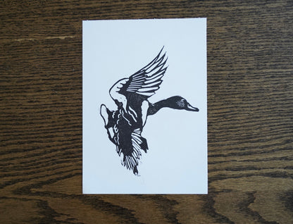 Duck in flight - linocut print