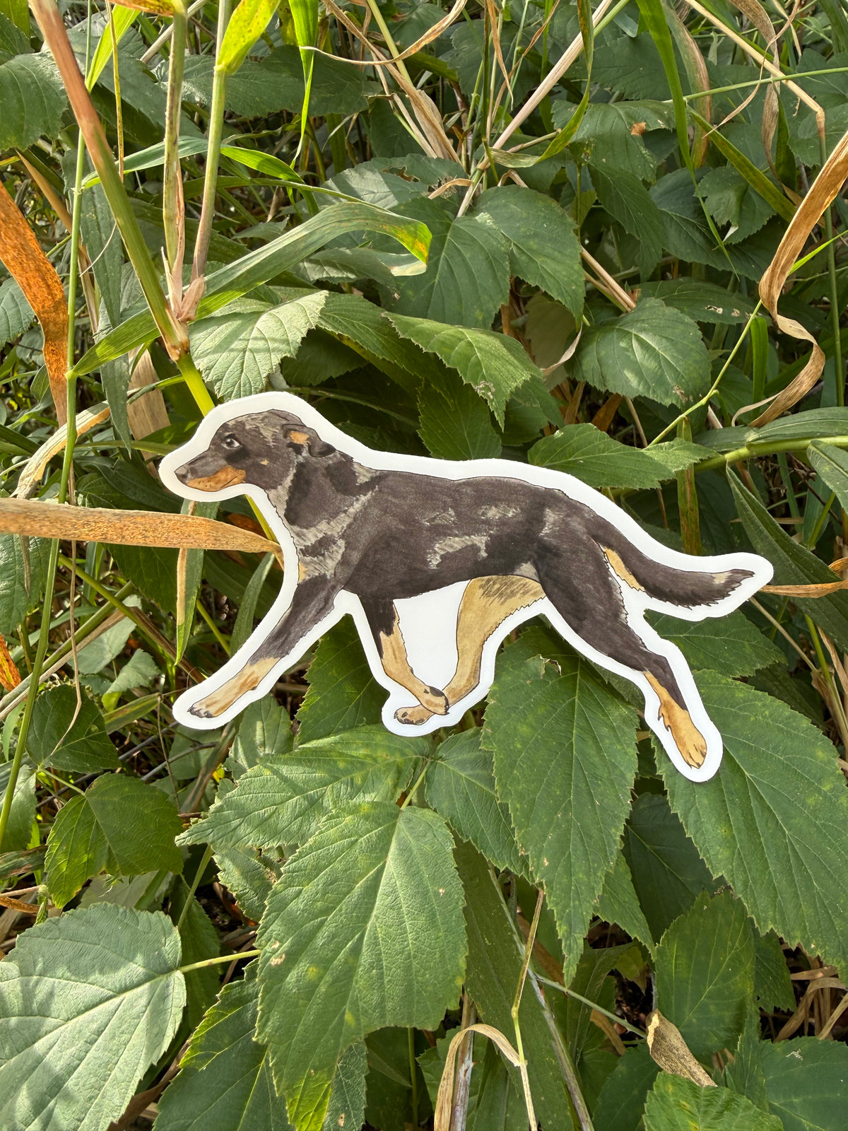 A die-cut sticker of a black and tan dog, shown lying on green leaves and grass outdoors.