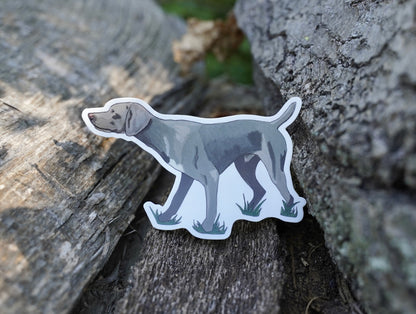 Weimaraner Dog Pointing 5" Sticker Decal