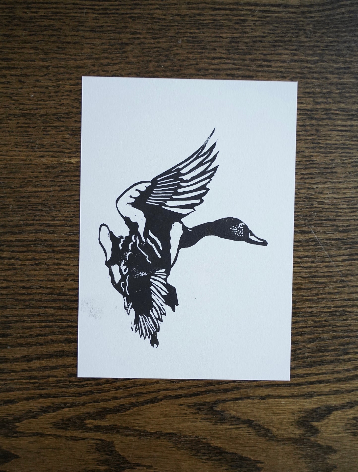 Duck in flight - linocut print