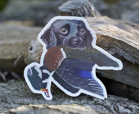 Black Labrador Retriever Hunting Wood Duck 4” Die Cut Vinyl Sticker Decal