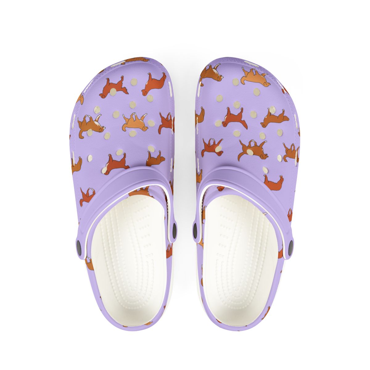 Nova Scotia Duck Tolling Retriever EVA Foam Clogs - Toller Slip-On Shoes