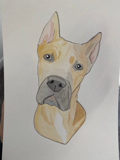 Custom Watercolor Pet Portrait 5x7"