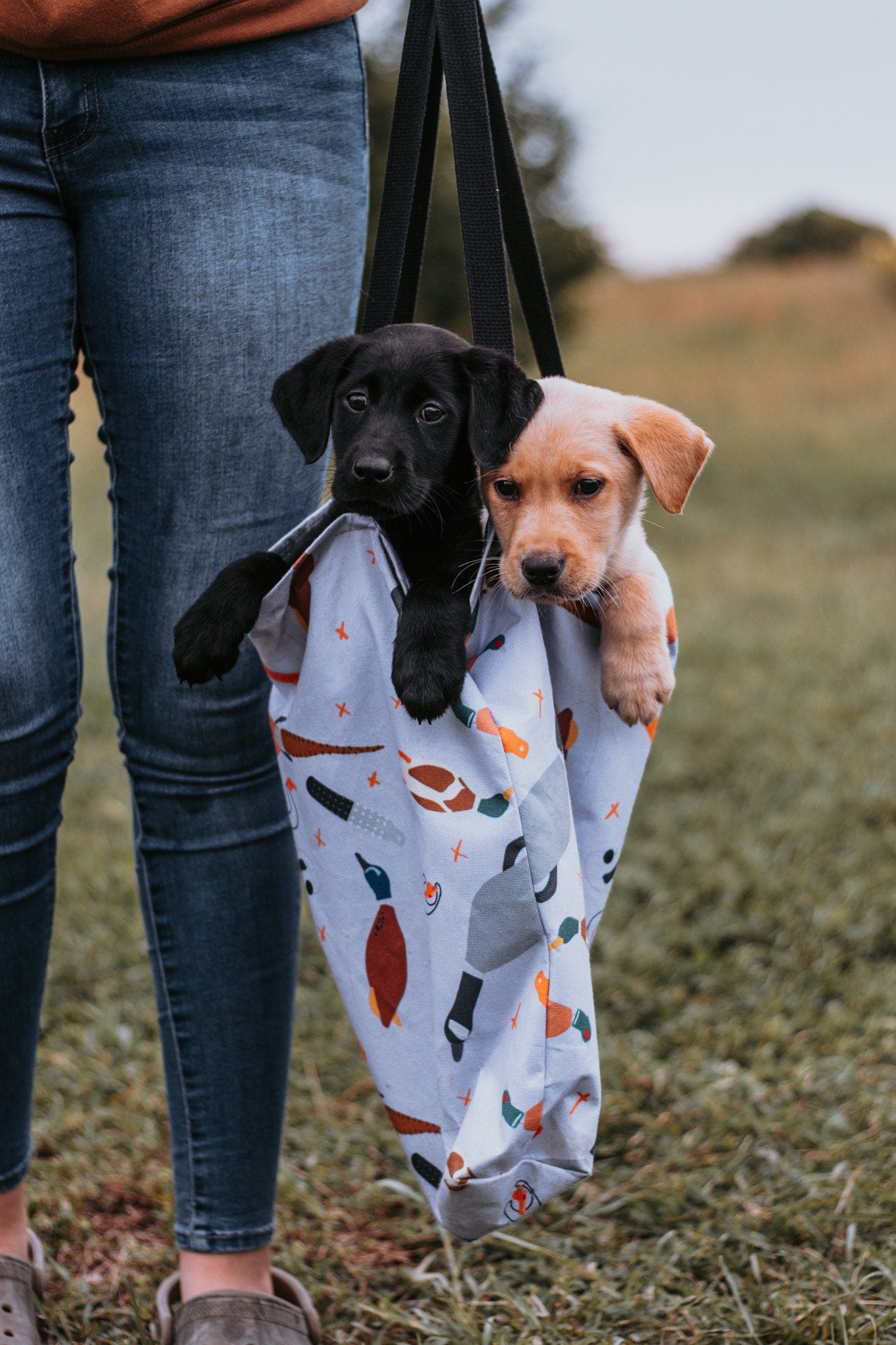 Retriever Training Dog Pattern Tote Bag in Black Lavender or Green