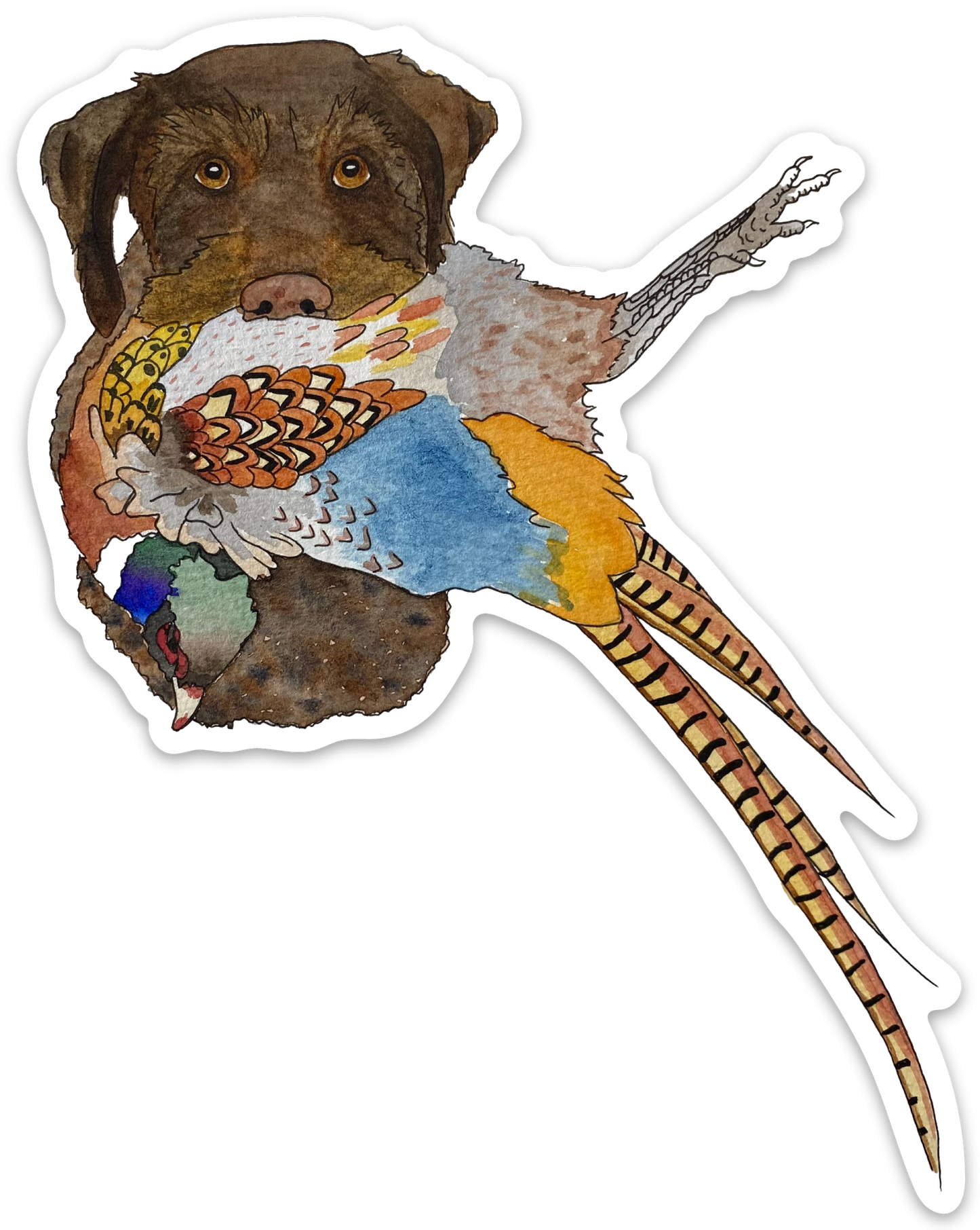 German Wirehaired Pointer Dog with Pheasant 5" Sticker Decal