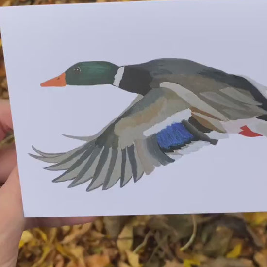 Mallard Duck Full Body - Game Bird Greeting Card