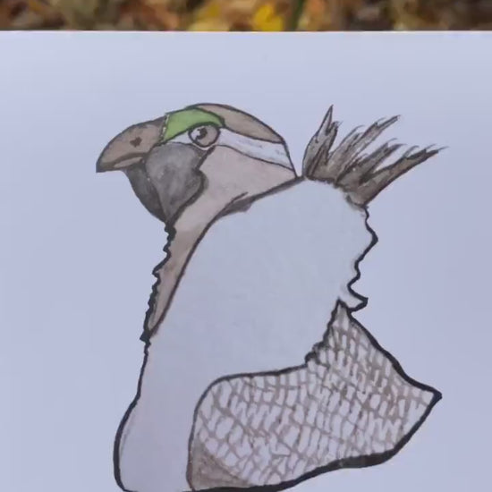 Sage Grouse Head - Game Bird Greeting Card