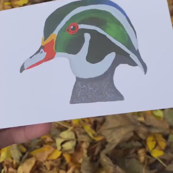 Wood Duck Head - Game Bird Greeting Card