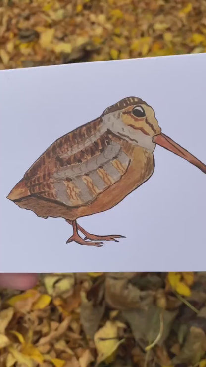 Woodcock Full Body - Game Bird Greeting Card