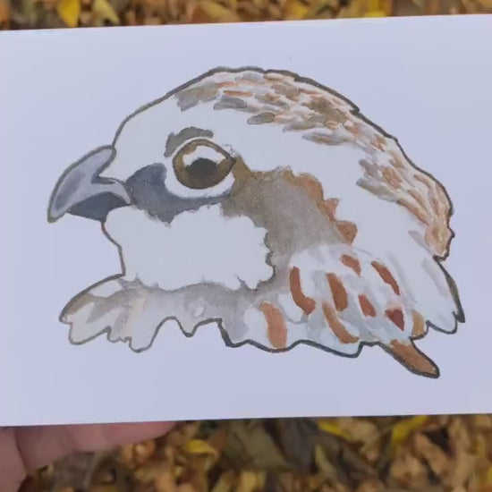 Bob White Quail Head - Game Bird Greeting Card