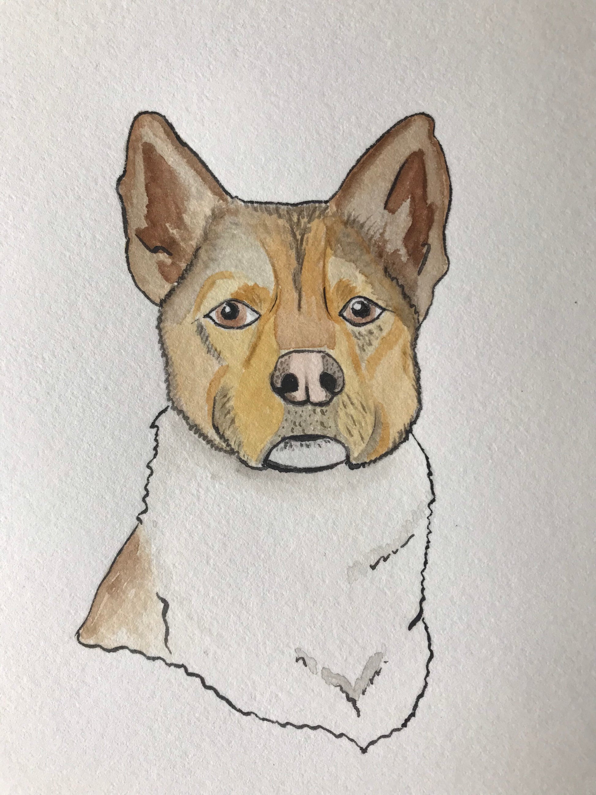 Custom Watercolor Pet Portrait 5x7"