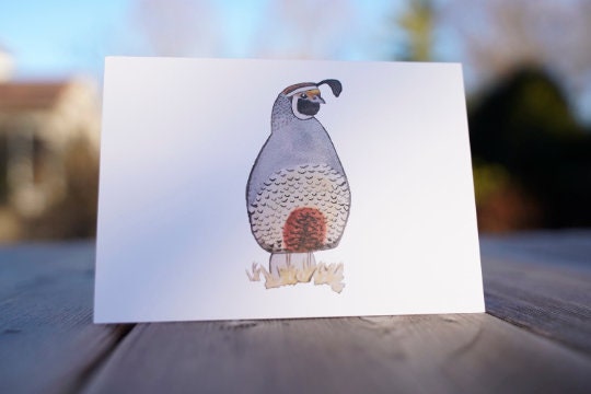 California Quail Full Body - Game Bird Greeting Card