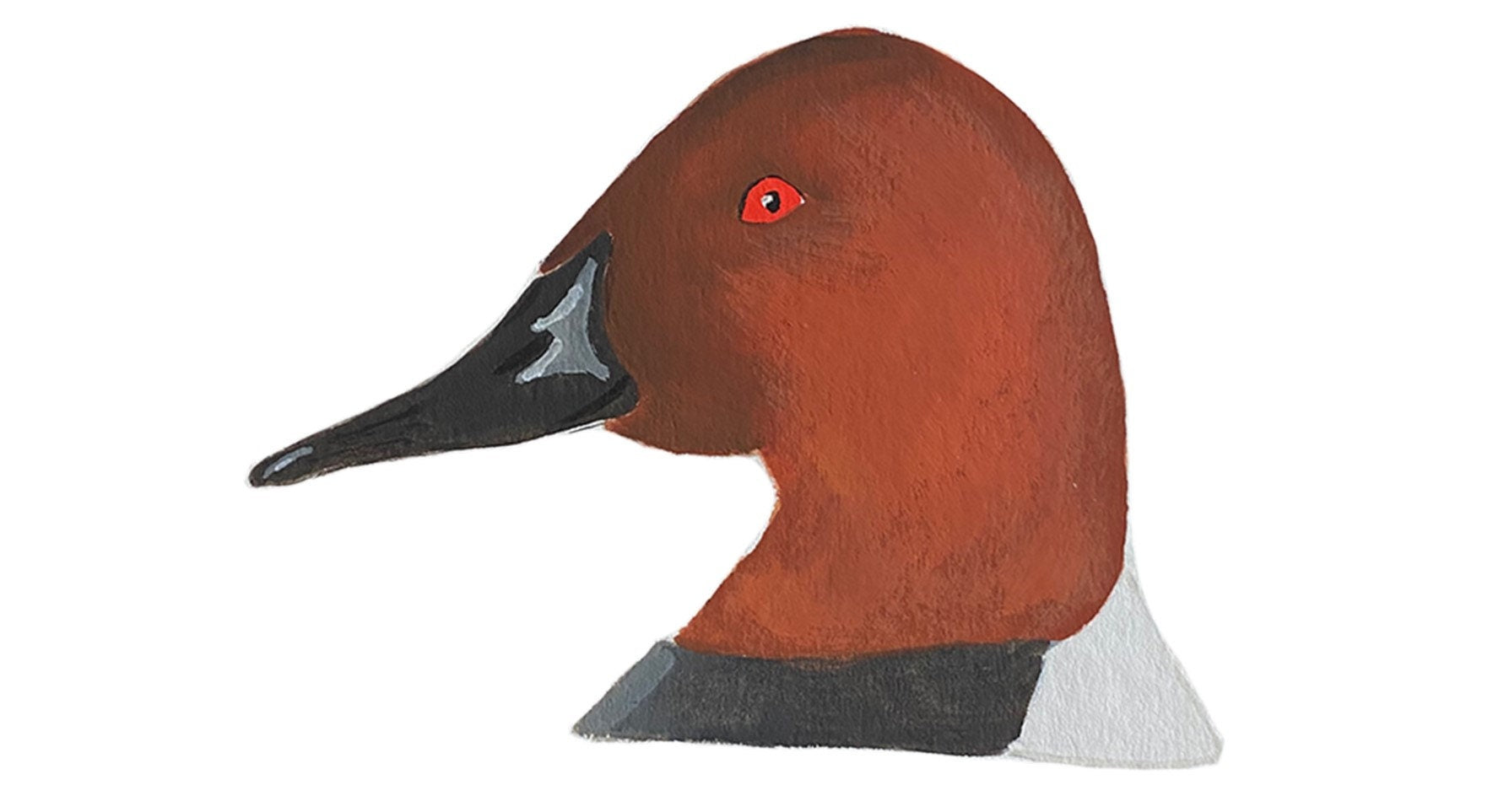 Canvasback Duck Head - Game Bird Greeting Card