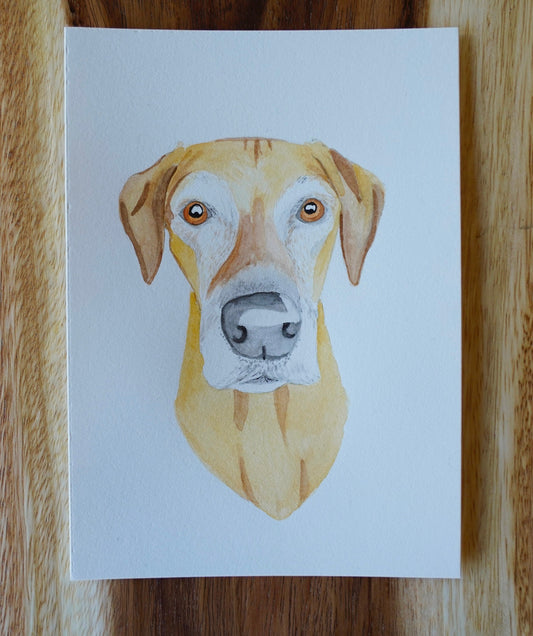 Custom Watercolor Pet Portrait 5x7"
